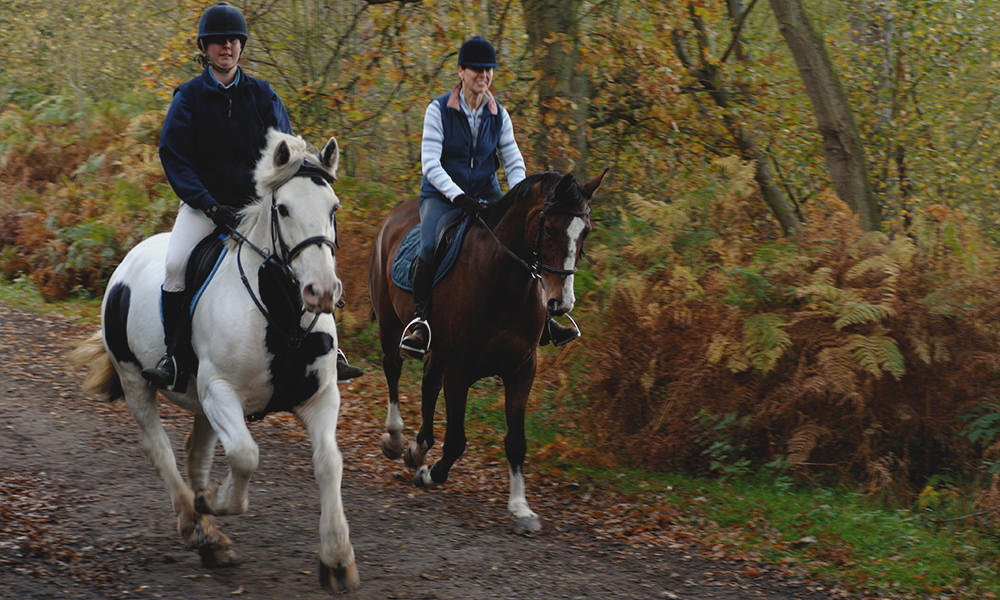 photo of 2 people riding horses down a country lane outdoors at Bellurgan Park in County Louth, Ireland
