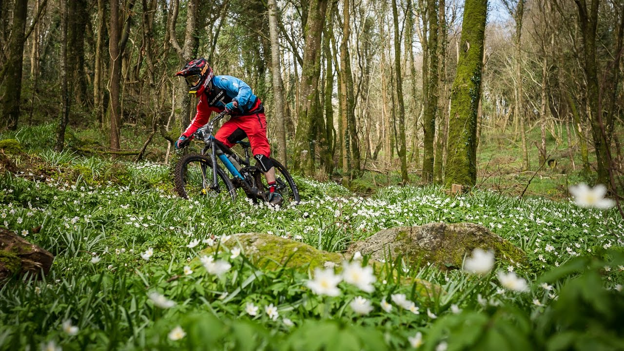 photo of a mountain biker riding singletrack mountain bike trail though mature woods at Bellurgan Park in County Louth, Ireland